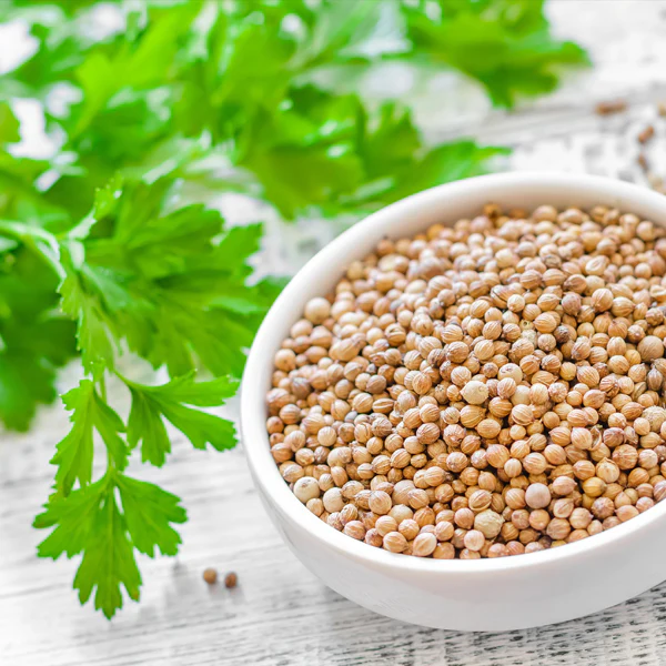 Coriander Seeds